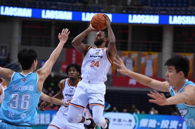 博鱼下载-新民体育丨大鲨鱼迎来福音？